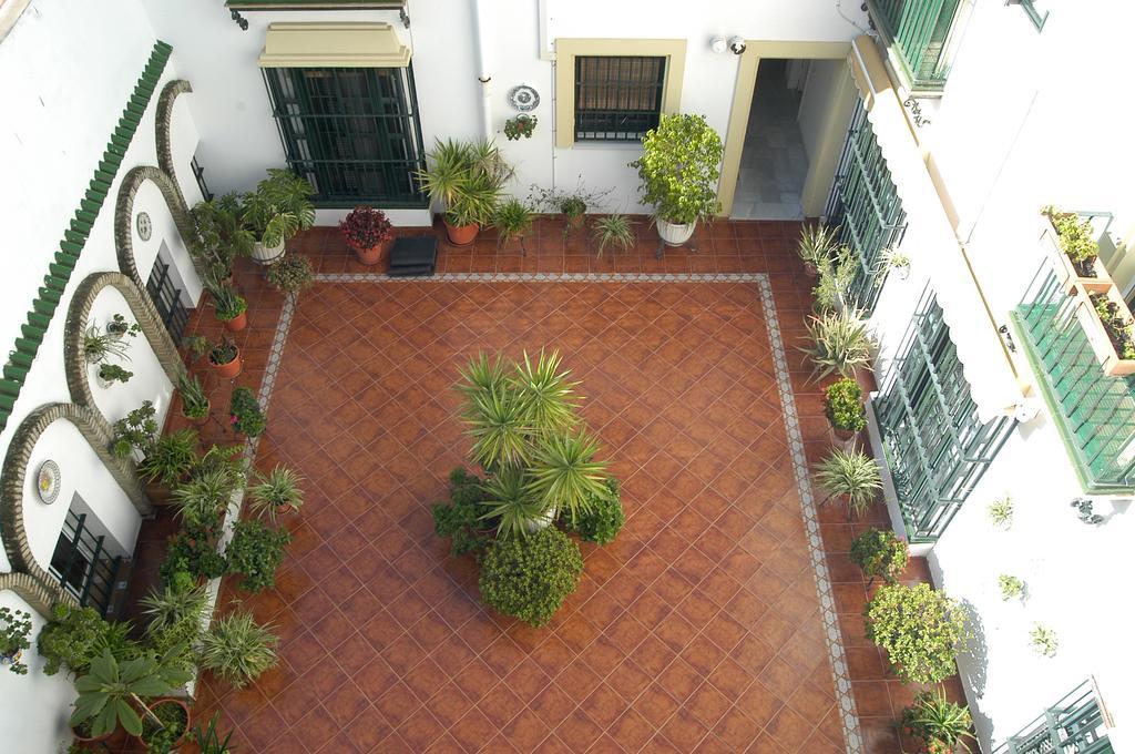 Apartamento Los Olivos Jerez Jerez de la Frontera Ruang foto